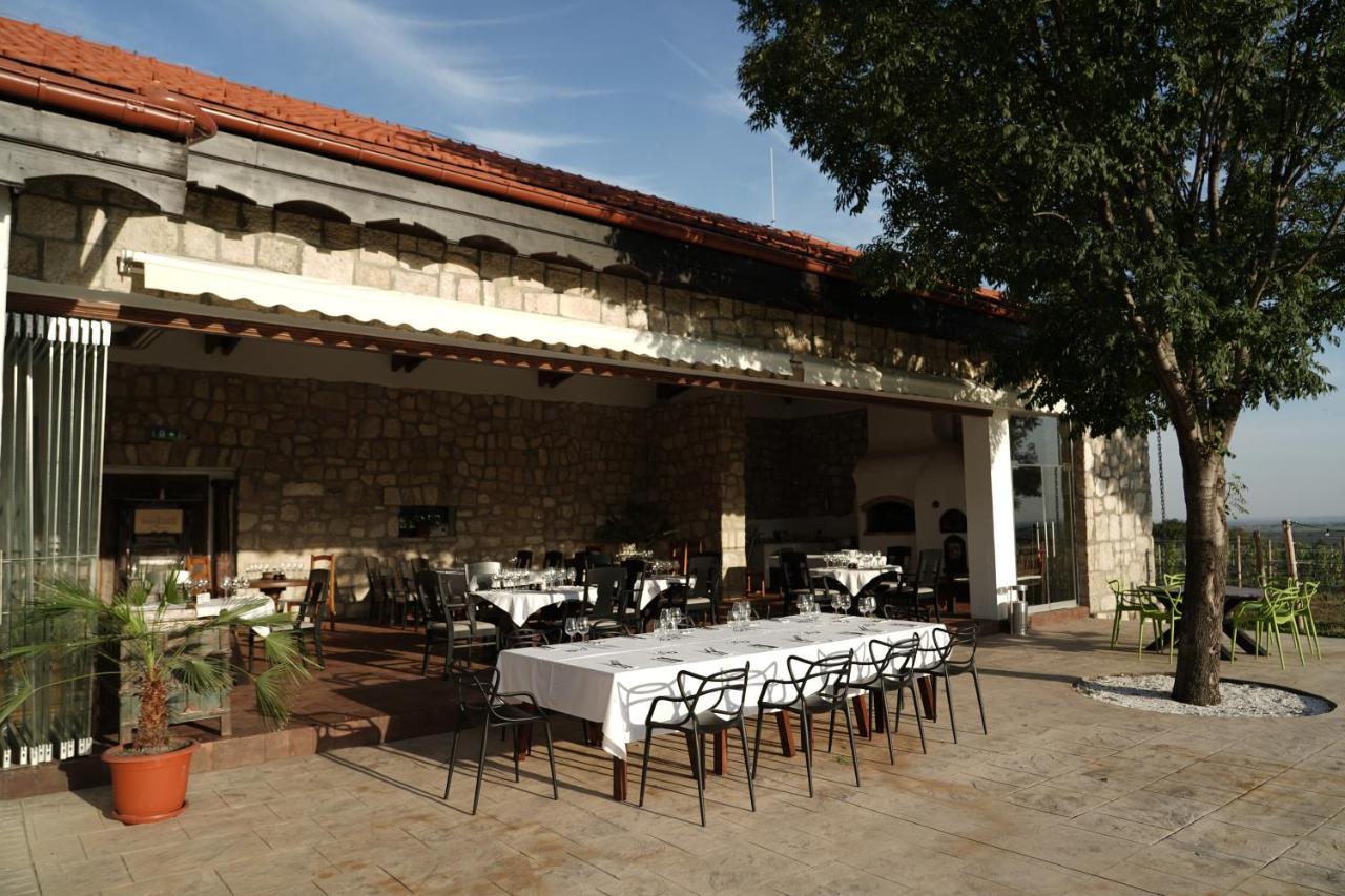 Crama Apogeum - Adult Only Hotel Gura Vadului Exterior photo